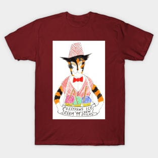 Ice Cream Selling Cat T-Shirt
